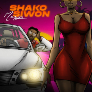 Meeza – Shako Siwon Mp3 Download